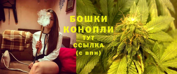 PSILOCYBIN Богородицк