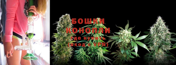 PSILOCYBIN Богородицк